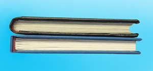Photo of comparison between rounded and flat spines